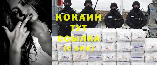 дживик Аркадак