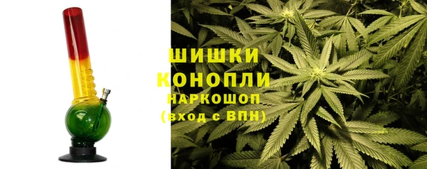 ГАЛЛЮЦИНОГЕННЫЕ ГРИБЫ Армянск